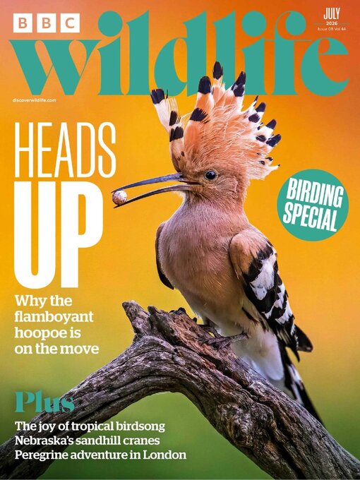 Cover image for BBC Wildlife Magazine